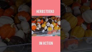 Herbstdeko im Action 2024/#Herbstdeko#Action#Actionhaul