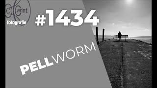 WR1434 Das Pellworm der Fotografie (Videoteil)