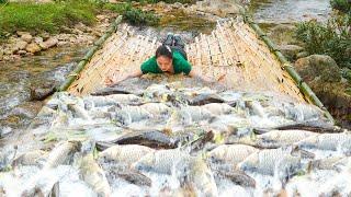 How To Make a Fish Trap In The Floating Season, Harvesting Many Types Of Natural Fish In The Trap