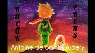 Küçük Prens/Antoine de Saint Exupery/Sesli Kitap Dinle (Tek Parça) #küçükprens  #thelittleprince