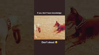 If u don't have knowledge.. Don't shout #shorts #motivation#ssc#upsc#neet#wbcs#psc#cgl#iit#wbp