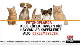 ANKARA’DAKİ KÖPEK KATLİAMI, CNN TÜRK, 11.04.2019