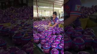 Coconut water export process - Thai fruit