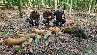 Sauen & Bockjagd im Urwald von Meckpomm | Hunt on Demand Free Episode - Jagdkrone