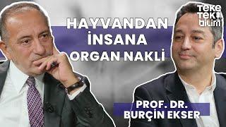 Hayvandan insana organ nakli? / Prof. Dr. Burçin Ekser & Fatih Altaylı - Teke Tek Bilim