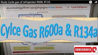 Study Cycle gas of refrigerator R600, R134.