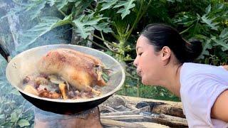 Life in the countryside harvesting fruits & vegetables cooking patotin awhole stewed duck fordinner