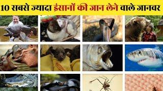 Top 10 Animals Most Responsible for Death | What animals kill the most humans per Year ?