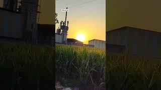 Life of village#village #villagelife #shorts #entertainment#ans04 #viral #love #desihort #shortvideo