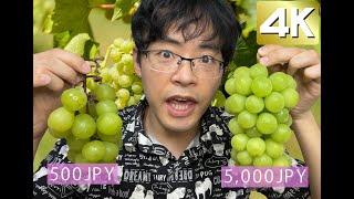 Japanese Shine Muscat Grapes Expensive vs. Cheap