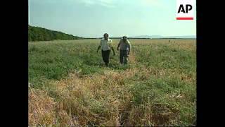 Ukraine/Crimea - Locust invasion