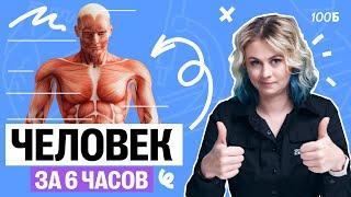 Человек за 6 часов | ЕГЭ по биологии 2025 | Ксения Напольская