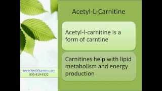 Acetyl-L-Carnitine - Anti-Aging Amino Acid