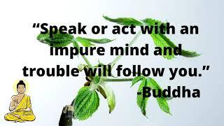 Buddha Quotes || Buddha Quotes On Life ||inspirational quotes|| Aura - Knowledge and Energy