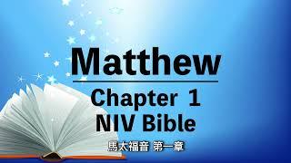 NIV Bible⎜Matthew chapter 1⎜audio bible with text⎜有聲聖經英語⎜中英字幕⎜馬太福音第一章⎜聆聽版