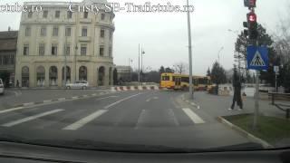 Papagalul zilei hartuieste un autobuz!