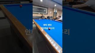 파닥 파닥 안타까운 너구리