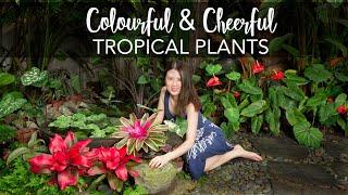 Easy & Colourful Plants to brighten the tropical garden