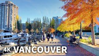 【4K】Vancouver Walk| Coal Harbour in Early Winter | BC Canada (Binaural City Sounds)