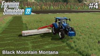 Tree Felling | Grass Form | Wood Sale | Black Mountain Montana | #4 #fs22 #farmingsimulator22