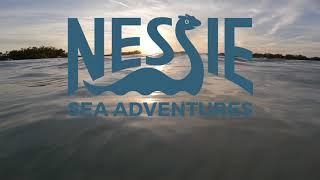 SUNSET Tour - Nessie Tours