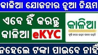 Kalia Yojana e-KYC Process | Kalia Yojana e-KYC complete process | Odia