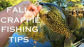 Combine Vertical Jigging and Bobber Fishing for INSANE Results!