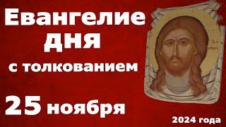 Евангелие дня с толкованием  25 ноября  2024 года