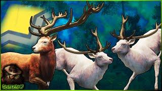 Diamond & Double Albino Red Deer On The Melanistic Red Deer Grind! Call of the wild