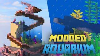 Fintastic : Forge 1.20.1 Minecraft Mod Show case