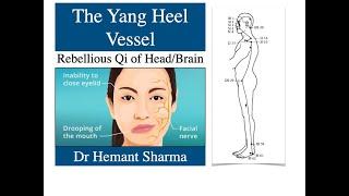 EOV - Extra Ordinary Vessels, #Yang #Heel Vessels,Yang #Qiao Mai #benefit & #Indication -9 Aug 2024