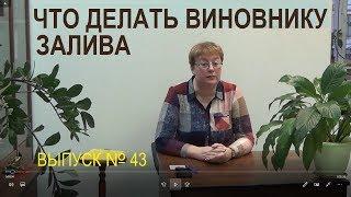 Что делать виновнику залива Выпуск №43