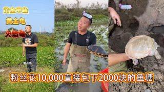 粉丝花10,000直接包下2000块的鱼塘，没想到连抓到甲鱼她都不要？ 【在养殖场安全，请大家不要模仿】