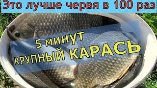 5 МИНУТ И КРУПНЫЙ КАРАСЬ / 4 г. ОТ НЕЁ ДУРЕЕТ ВСЯ РЫБА / Супер рыболовная насадка для карася и карпа