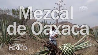 Siempre México | Oaxaca y su mezcal | 2x04