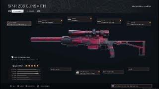 BEST Aggressive SPR-208 Warzone Class Setup