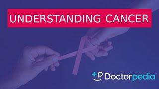 All You Need to Know About Cancer After Diagnosis