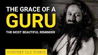 The Grace Of A Guru | The Most Beautiful Reminder For A Devotee | Gurudev Sri Sri Ravi Shankar