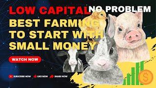 Best livestock farming to start with a low capital