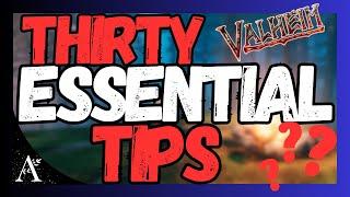 Watch Before Starting VALHEIM in 2025 - Beginner Tips