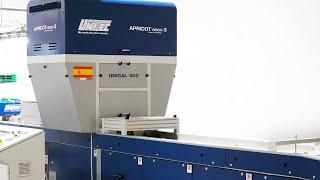 Apricot sorting, grading and packing line | UNITEC