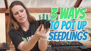 When to Pot up Seedlings 3 Different Methods