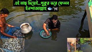 এই মাছ দিয়েই পুকুর ভরে ফেলব,,ইনশাআল্লাহ  