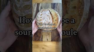 How to shape a #sourdough #boule #sourdoughshaping #breadrecipe #sourdoughtips