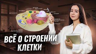 Строение клетки для ЕГЭ по биологии | Умскул