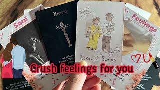 Crush Current feelings/ emotions for you️‍ Crush current feelings | Hindi tarot card