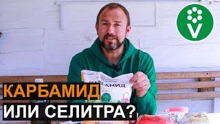 ВСЕ ОБ АЗОТНЫХ УДОБРЕНИЯХ: какое выбрать, как и когда вносить