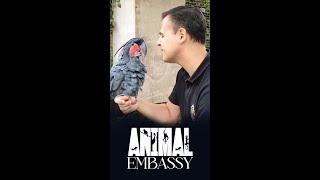 Watch all the exotic animals of the world. 