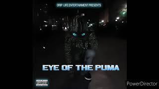 Eye of the Puma