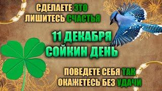 11 декабря. Народный праздник - Сойкин день и Иринархов день. Народные приметы.